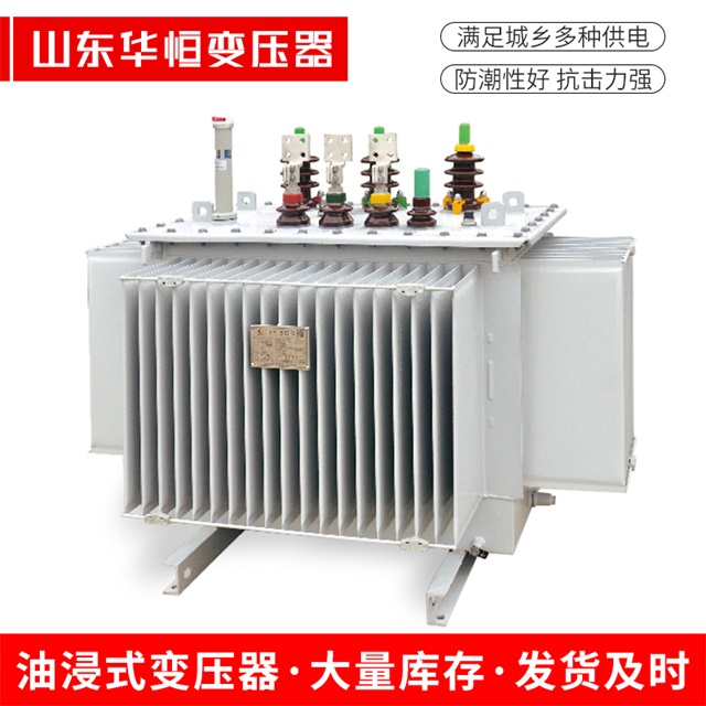 S13-10000/35湘东湘东湘东电力变压器
